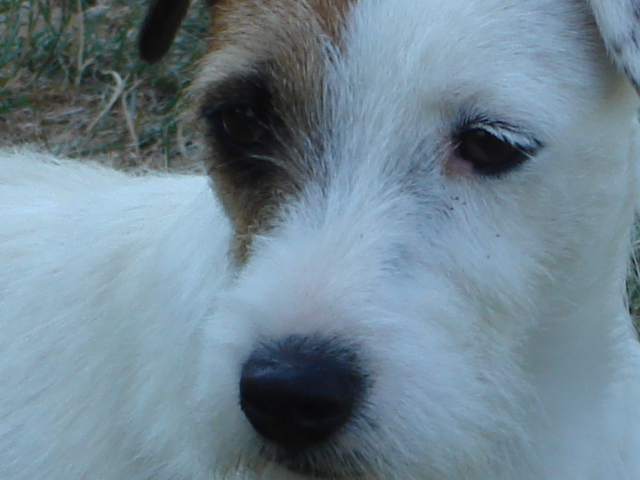 CH. De ghundaï Ub'silone